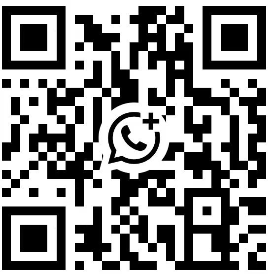 WhatsApp 桌面扫码（可选）